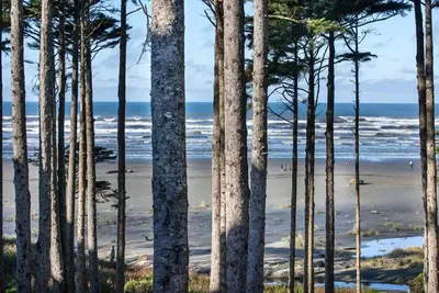 Image de Seabrook's Oceanaire offers luxury oceanview home for large groups!