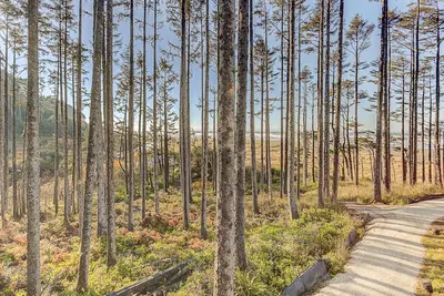 Image de Seabrook's Seaforever, stunning oceanfront views and a private hot tub!
