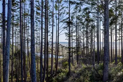 Image de *New* Seabrook's Spindrift, a premier oceanside home!