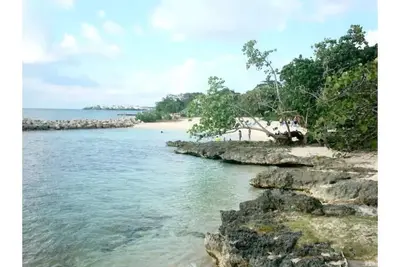 Image de Beach-Bums!