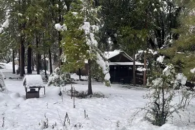 Nestled in the woods, immersed in nature. Cleaning fee included!