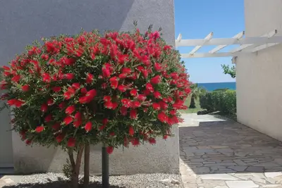 Image de Waterfront villa (4 to 6 people), Prunète beach