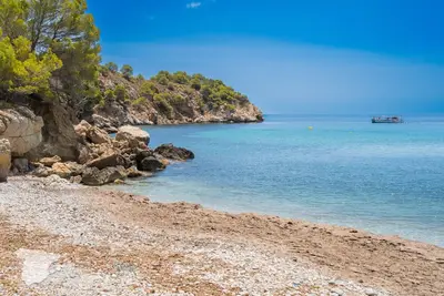 Image de CostaBlancaDreams - Girasoles à Altea / Mascarat