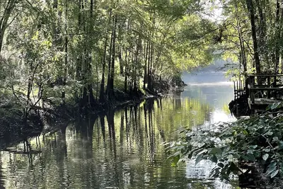 Image de Perfect River Retreat-located directly on the Withlacoochee River