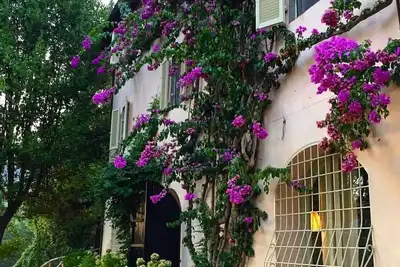 Image de Villa Bernocco - Lovely and Romantic Villa - excellent location