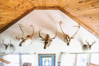 Image de Perfect Cabin 5 minutes to Blanchard Springs Nat. Park