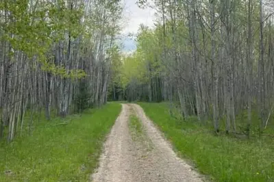 Image de Your own private deep woods experience