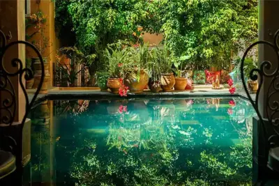 Image de The Atlas Room: Garden Patio: Riad Roxanne