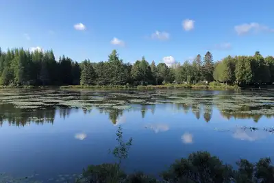 Image de Petit Train du Nord - Km 39 - Cedar Creek GetAway