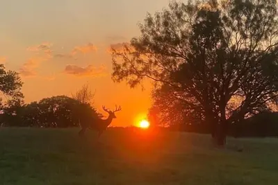 Image de Private Lodge on Exotic Ranch in Lampasas