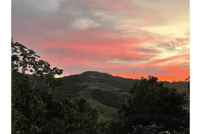 Image de Rainforest Retreat between mountains and sea