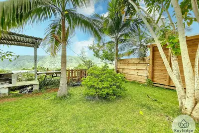 Image de Scheffléra – Bungalow 25m² avec vue sur la montagne – Saint-Louis