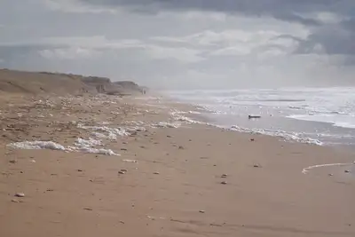 Image de Maison Neuve Ă louer sur la presqu'ile d'Arvert