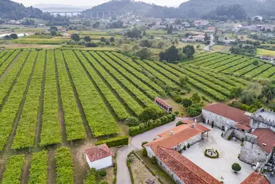 Image de Medieval manor among vineyards for 12 guests. Large gazebo with barbecue and garden
