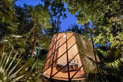 Image de Jungle Pod - Be immersed in nature! !