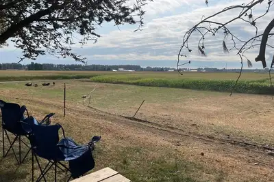 Image de Camp in The Country From the Comforts of Your Rv