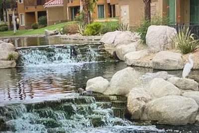 Great lodging while at Coachella-easy transportation available