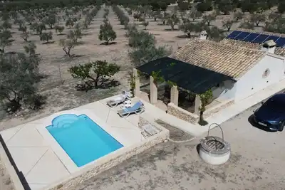 Image de Maison rurale au milieu des oliviers