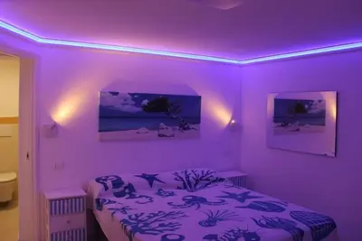Image de Appartement d'une pièce dans un quartier calme