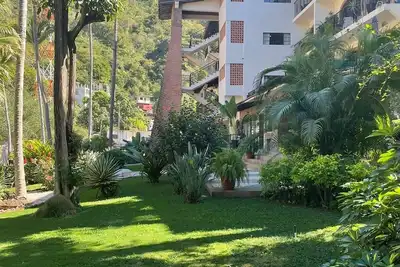 Image de Newly remodeled/pool/nestled next Cuale River/walking distance to Romantic Zone.