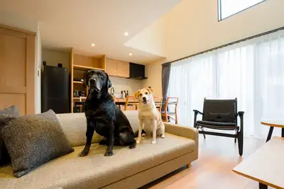 Image de Building Dpets allowed maisonette with terrace and sauna / Kamogawa City Chiba