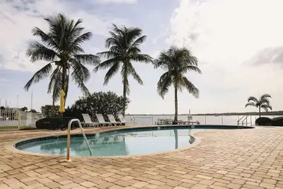 Image de Dolphin Bay - St. Pete Beach
