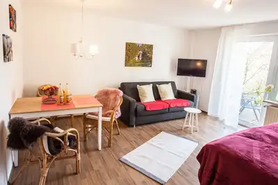 Image de Location-Salle de bain privée séparée-Terrasse-Elstar 1/2