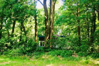 Image de Boshuisje In the middle of nowhere