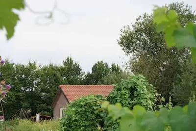 Image de Country cottage in the middle of nowhere (fenced garden)
