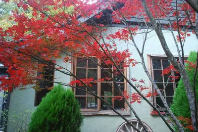 Image de Magnolia - 2 Perrins Creek Rd Olinda