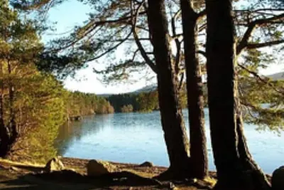 Image de Peaceful \"Coorie-in\" Boat of Garten