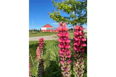 Image de Sweet Winds Michigan Upper Peninsula Farm