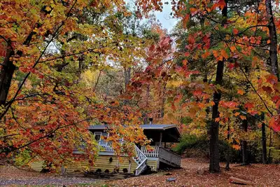 Image de Dog friendly cabin. Peaceful nature getaway.
