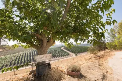 Image de Vineyard & Valley View Cottage-Hot Tub, Wine Fridge, Starlink Wifi
