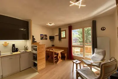 Image de Charmant Appartement 2-4 Pers, Centre-Ville, Piscine, Proche Ski