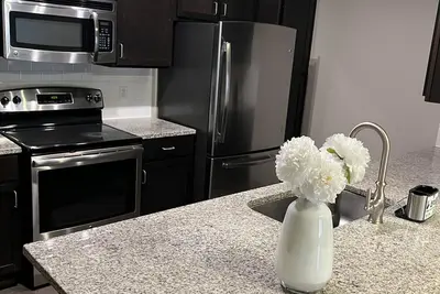 Image de Cozy 1br apartment in Energy Corridor