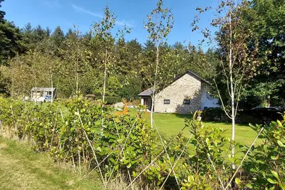 Image de Luxury Woodland Retreat