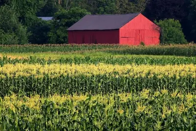 Image de Amherst, Perfect Location, UMass, Smith, Mhc!