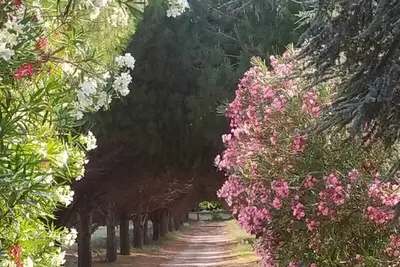 Image de Domaine à proximité du canal du midi et des plages