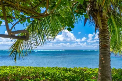 Large Hawaiian Style Plantation property.