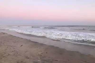 Image de Montauk Beach & Woods. . . Minutes to the beach, backyard woods!