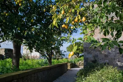 Image de Domus Maresca