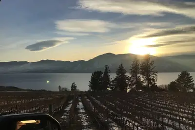 Image de Smack Dab in the Heart of Wine country🍷