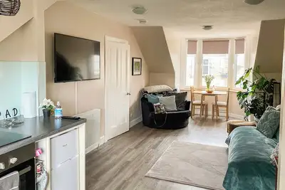 Image de The Wee Pad - Uk42918