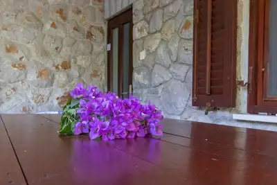 Image de Appartement de trois chambres avec la terrasse Mali Losinj, Losinj (A-20594-a)