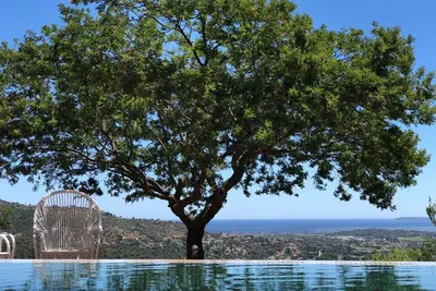 Image de Villa vue Mer - Piscine et Service hôtelier inclus