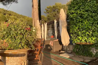 Image de Propriété viticole sur une colline au milieu des vignes et oliviers