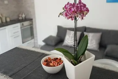Apartments Katarina