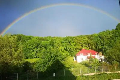 Wonderfull villa in a quiet garden — 5 min from Dino Park and Rasnov Citadelle! !