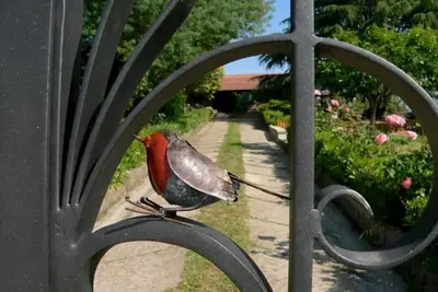 Image de The House Of The Robin